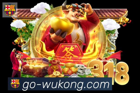 奖项证书